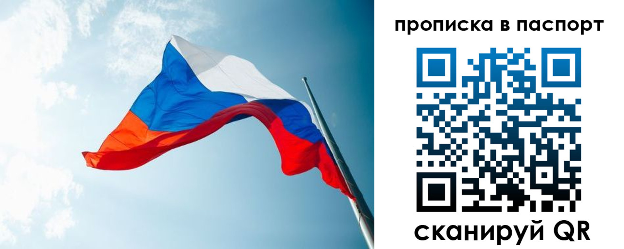 временная прописка в Электрогорске